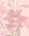 Lirio Oriental Mix M - Pur Plant