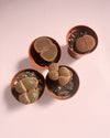 Lithops Rubra – Piedra Viva - Pur Plant