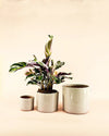 Maceta Arena M – 15 cm - Pur Plant