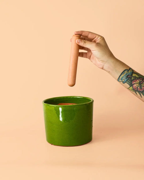 Maceta Autorriego Terracota Verde M
