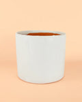 Vaso Branco L – 19 cm