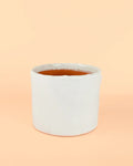 Vaso Branco M – 15 cm
