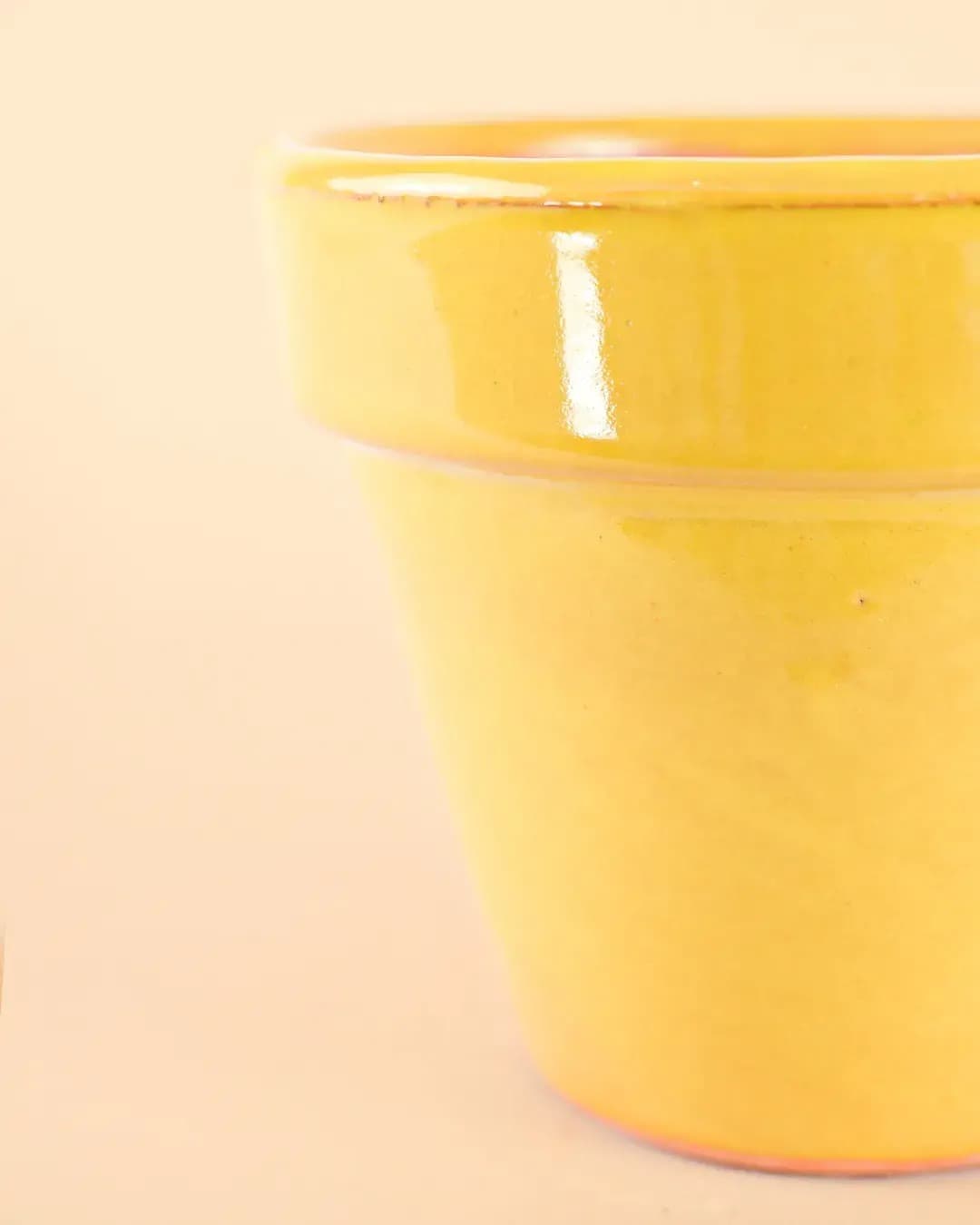 Maceta Clasic Amarillo – 15 cm - Pur Plant