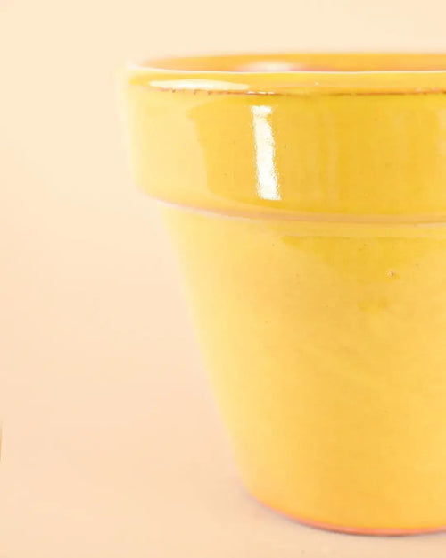 Maceta Clasic Amarillo – 15 cm - Pur Plant
