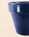Maceta Clasic Azul – 15 cm - Pur Plant