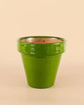 Vaso Clássico Verde – 15 cm