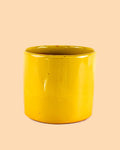 Vaso de Flores Mostarda L – 19 cm