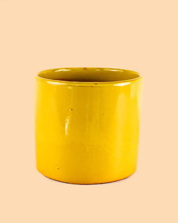 Vaso de Flores Mostarda L – 19 cm