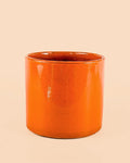 Vaso Laranja L – 19 cm
