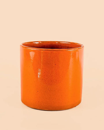 Vaso Laranja L – 19 cm