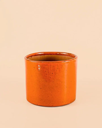 Vaso Laranja M – 15 cm