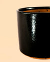 Maceta Negra L – 19 cm - Pur Plant