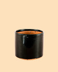 Vaso Preto M – 15 cm