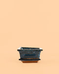 Vaso para bonsais – Azul