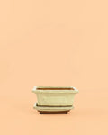 Vaso para Bonsai – Branco