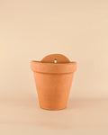 Vaso de Parede Terracota L – 18 cm
