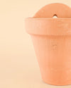 Maceta Pared Terracota M – 14 cm - Pur Plant