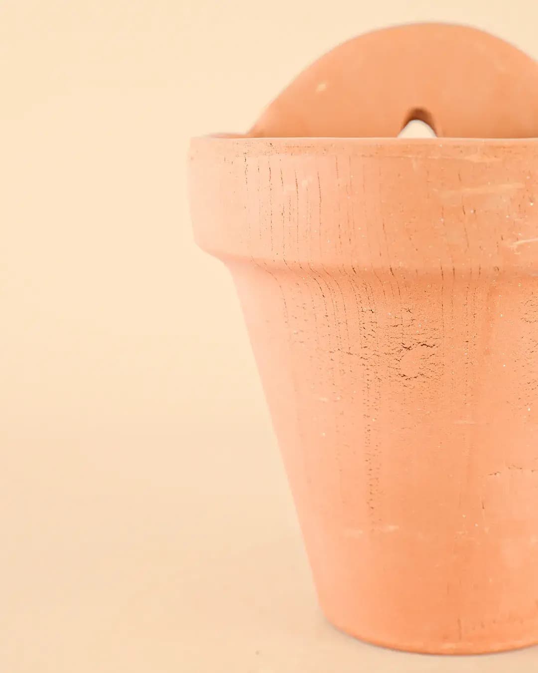 Maceta Pared Terracota M – 14 cm - Pur Plant