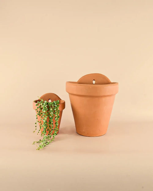 Maceta Pared Terracota M – 14 cm - Pur Plant