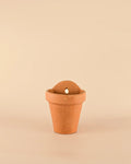 Vaso de Parede Terracota M – 14 cm