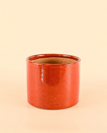 Vaso Vermelho M – 15 cm