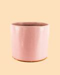 Vaso Rosa L – 19 cm