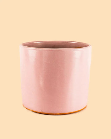 Vaso Rosa L – 19 cm