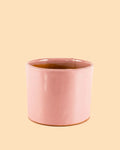 Vaso Rosa M – 15 cm