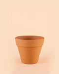 Vaso terracota Clássico M – 15 cm