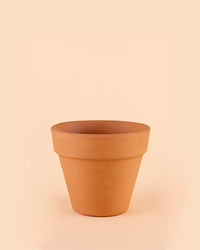 Vaso terracota Clássico M – 15 cm