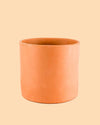 Maceta Terracota L – 17 cm - Pur Plant