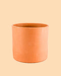 Vaso Terracota G – 17 cm
