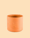 Maceta Terracota M – 15 cm - Pur Plant