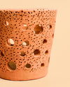 Maceta Terracota para Orquídeas – 12 cm - Pur Plant