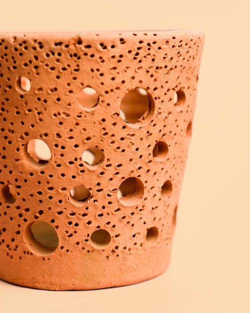 Maceta Terracota para Orquídeas – 12 cm - Pur Plant