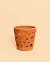 Maceta Terracota para Orquídeas – 12 cm - Pur Plant