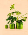 Maceta Verde L – 19 cm - Pur Plant