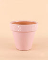 Maceta Clasic Rosa – 15 cm