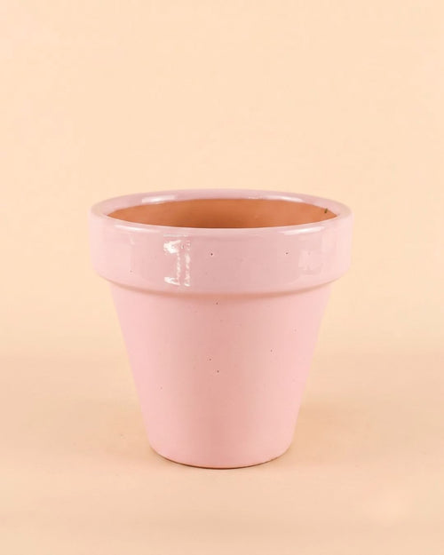 Maceta Clasic Rosa – 15 cm