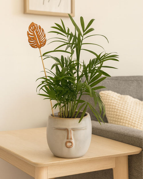 Mao – Maceta Cerámica Gris S – 9 cm - Pur Plant
