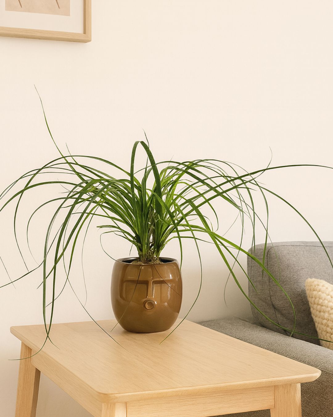 Mao – Maceta Cerámica Marrón S – 9 cm - Pur Plant
