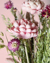 Margot – Ramo de Flores Secas - Pur Plant