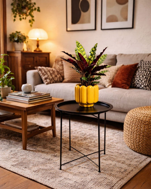 Mesa Soporte para Plantas - Pur Plant