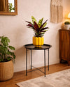 Mesa Soporte para Plantas - Pur Plant