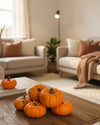 Mini Calabaza Jack - Pur Plant