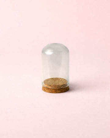 Mini Cúpula Terrário de Cristal