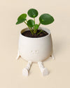 Mini Happy Pot Blanca – 6 cm - Pur Plant