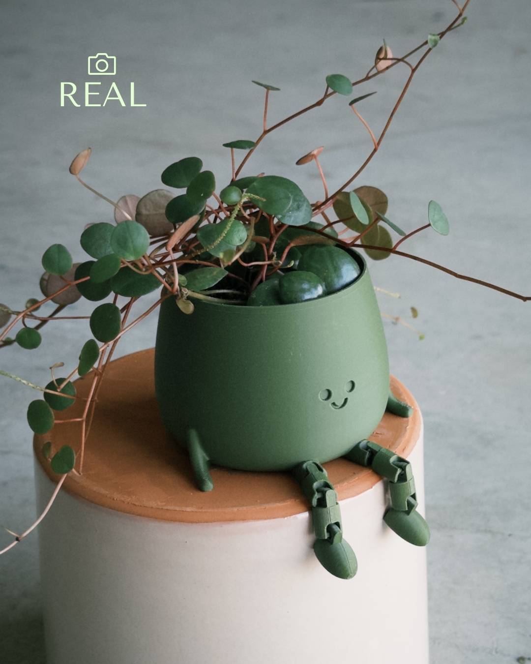 Mini Happy Pot Verde Musgo – 6 cm - Pur Plant