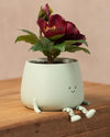 Mini Happy Pot Verde Pastel – 6 cm - Pur Plant