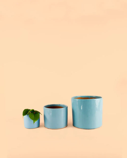 Mini Maceta Azul Celeste S – 9 cm - Pur Plant